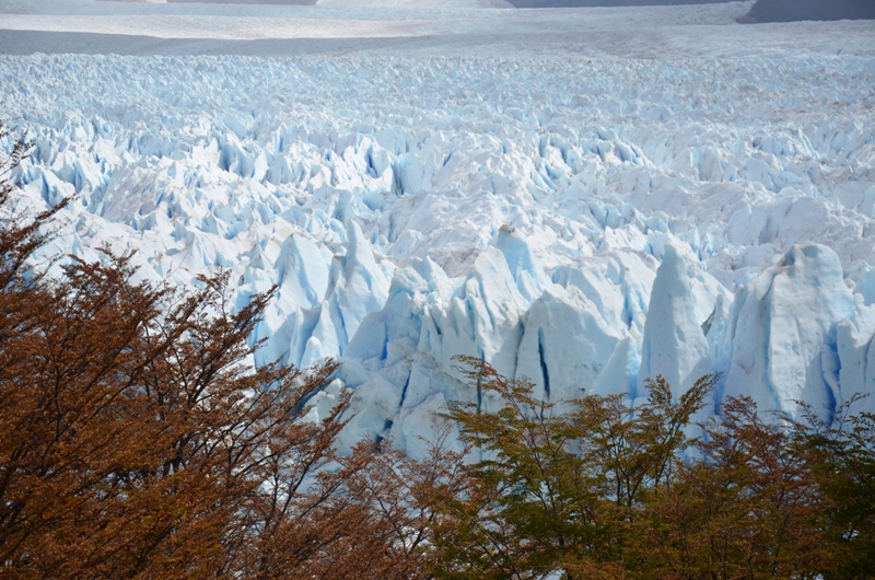 Perito_Moreno_40.JPG